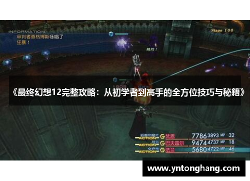 《最终幻想12完整攻略：从初学者到高手的全方位技巧与秘籍》